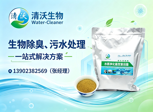 清沃生物珠海线上分站